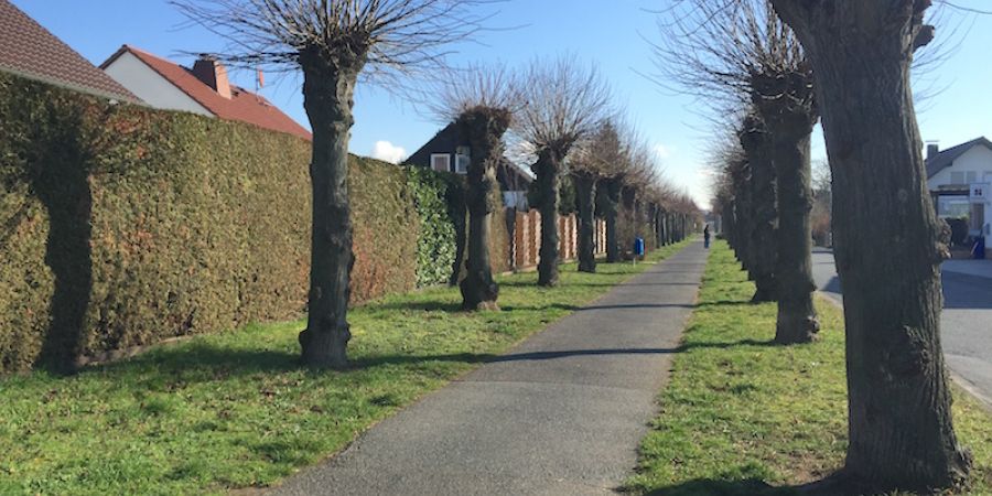 Gehweg in Naehe des Grundstueckes